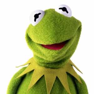 Kermit the Frog's profile